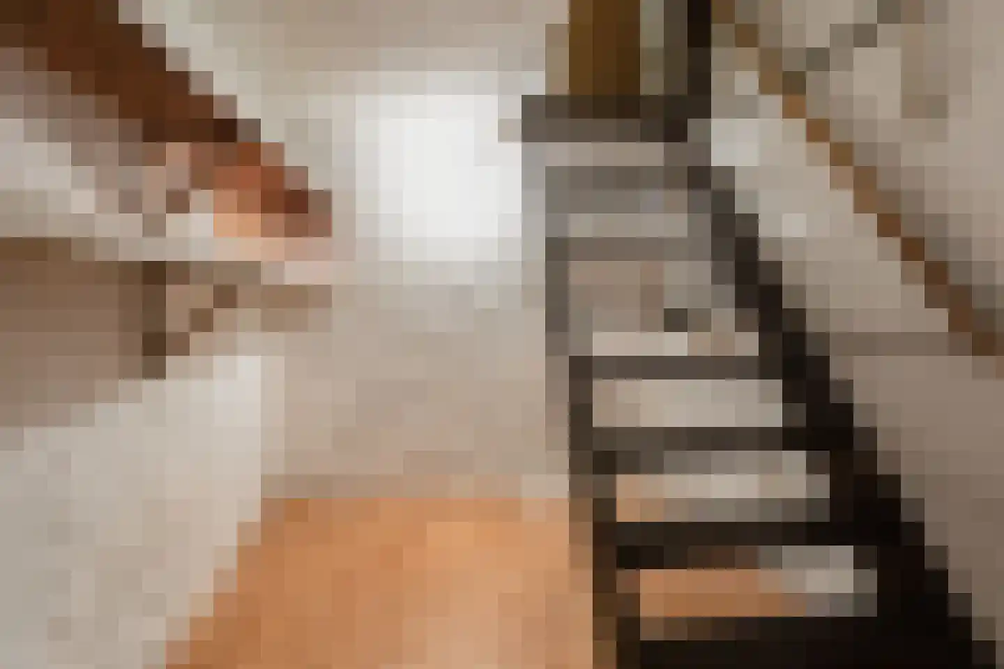Enkweg 2 d Velp thumbnail 29