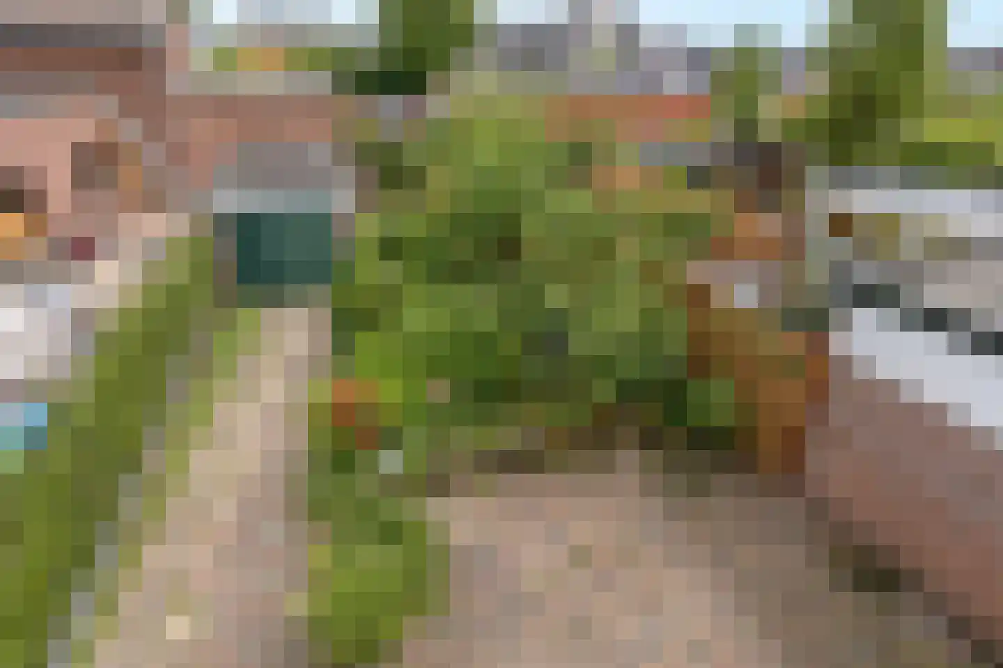 Enkweg 2 d Velp thumbnail 30