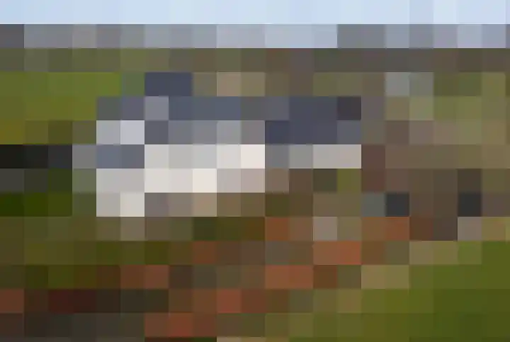 Enkweg 2 Hattem