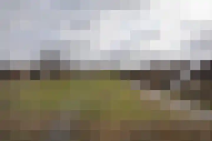 Enkweg 2 Hattem thumbnail 16