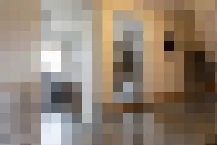 Enkweg 2 Hattem thumbnail 20