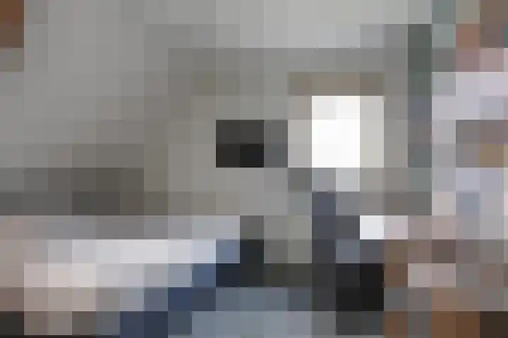 Enkweg 2 Hattem thumbnail 21