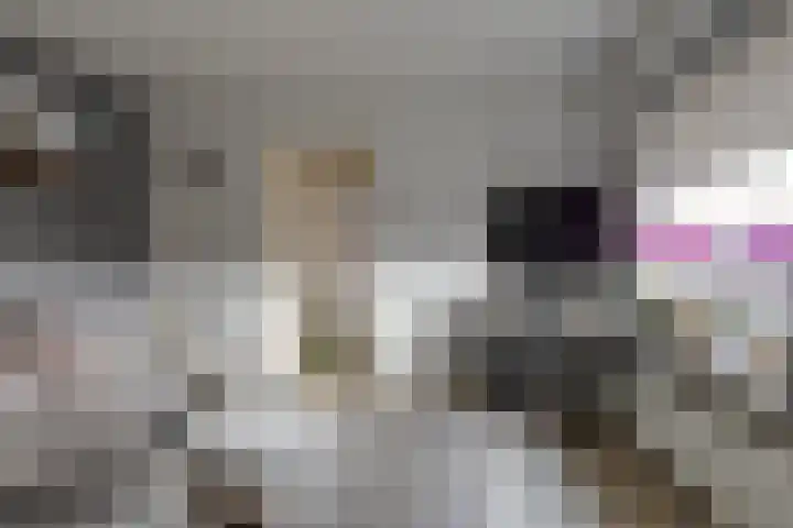 Enkweg 2 Hattem thumbnail 26