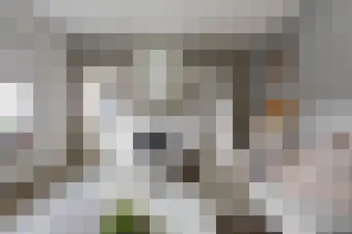 Enkweg 2 Hattem thumbnail 27