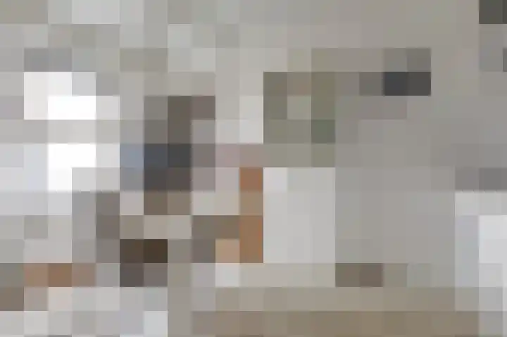 Enkweg 2 Hattem thumbnail 28