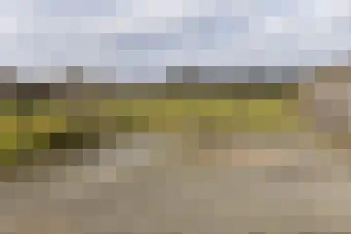 Enkweg 2 Hattem thumbnail 39