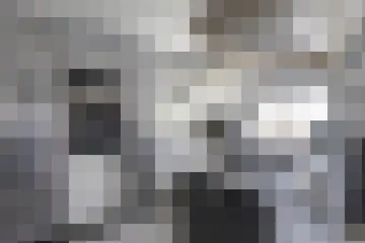 Enkweg 2 Hattem thumbnail 8