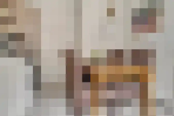 Enkweg 22 Dieren thumbnail 11