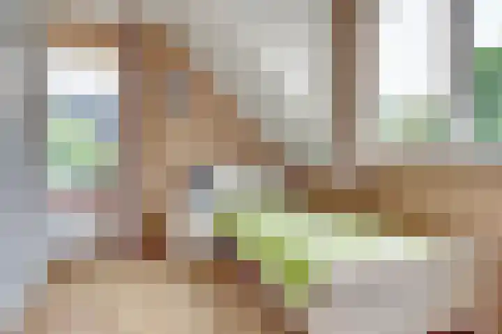 Enkweg 22 Dieren thumbnail 21