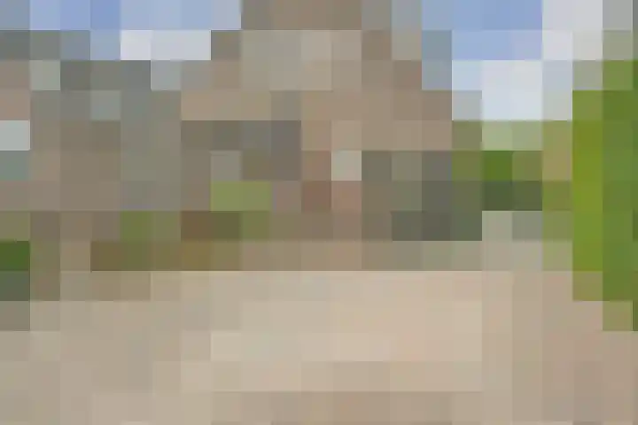 Enkweg 22 Dieren thumbnail 24
