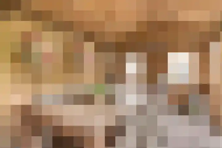 Enkweg 22 Dieren thumbnail 26