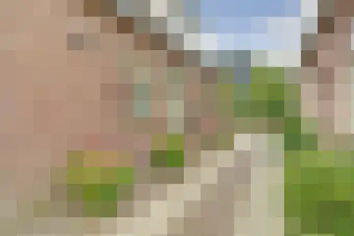Enkweg 22 Dieren thumbnail 27