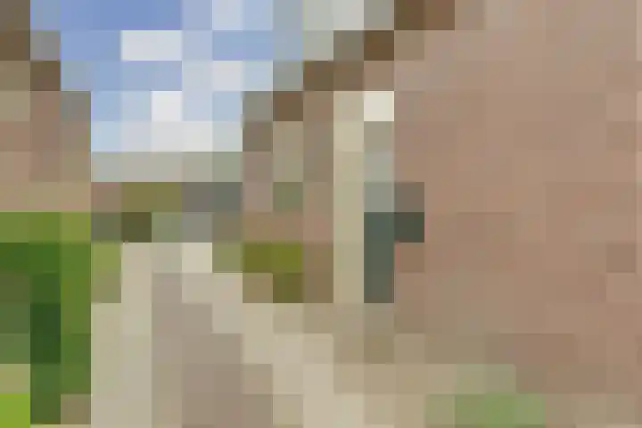 Enkweg 22 Dieren thumbnail 28