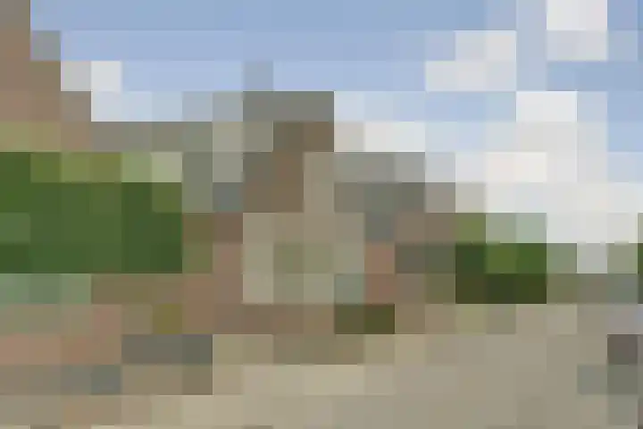 Enkweg 22 Dieren thumbnail 29