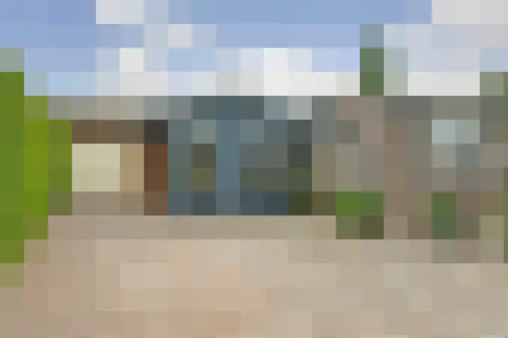 Enkweg 22 Dieren foto 3