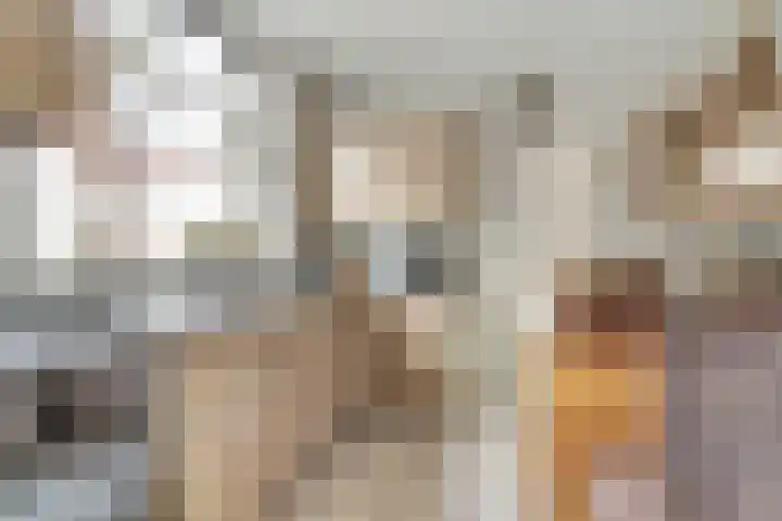 Enkweg 22 Dieren thumbnail 9