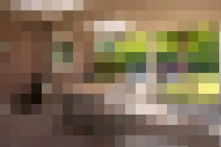 Enkweg 28 Nunspeet thumbnail 10