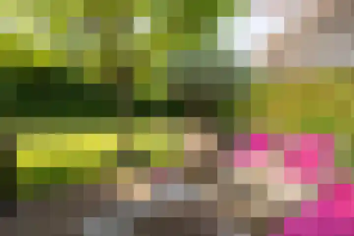 Enkweg 28 Nunspeet thumbnail 11