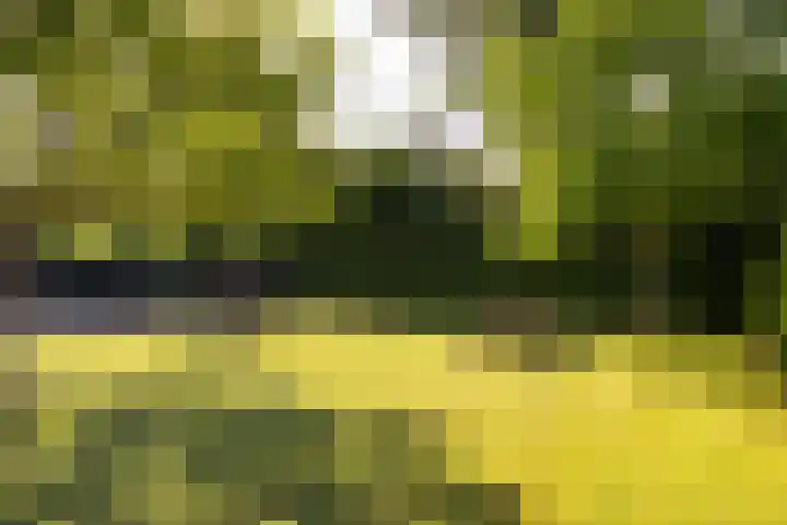 Enkweg 28 Nunspeet thumbnail 12