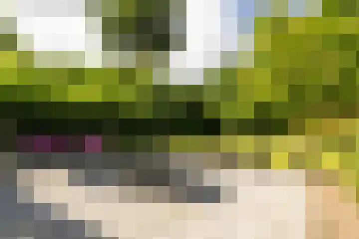 Enkweg 28 Nunspeet thumbnail 13