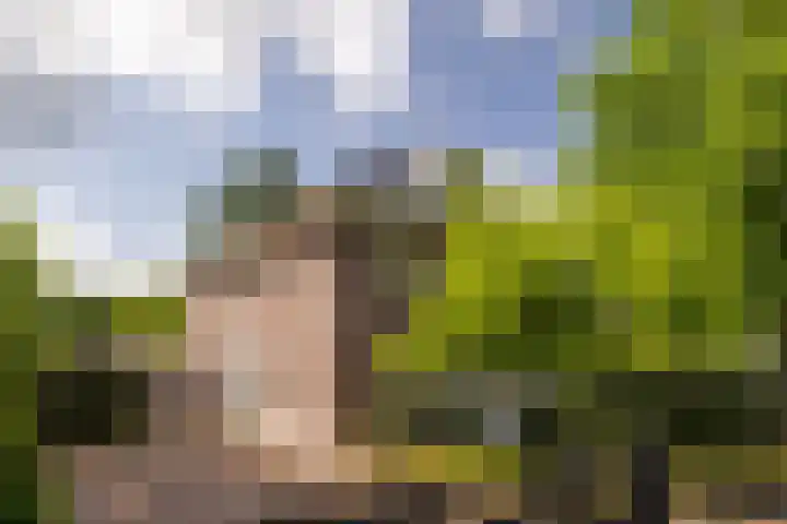 Enkweg 28 Nunspeet thumbnail 14
