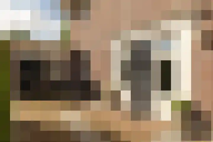 Enkweg 28 Nunspeet thumbnail 15