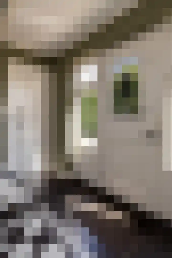 Enkweg 28 Nunspeet thumbnail 16