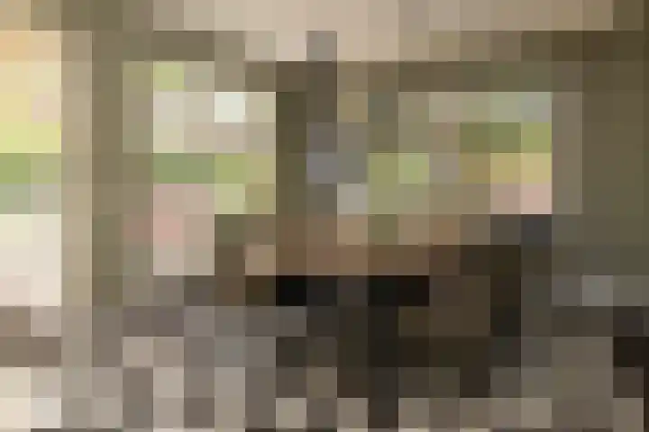 Enkweg 28 Nunspeet thumbnail 17
