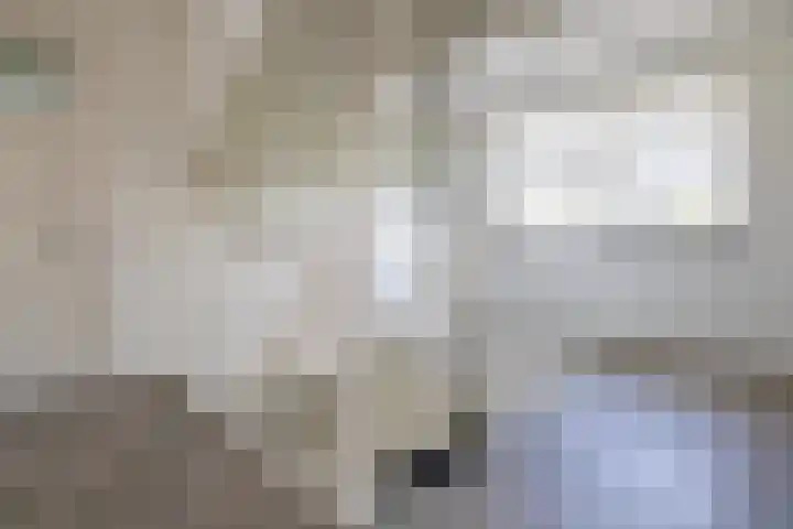 Enkweg 28 Nunspeet thumbnail 30