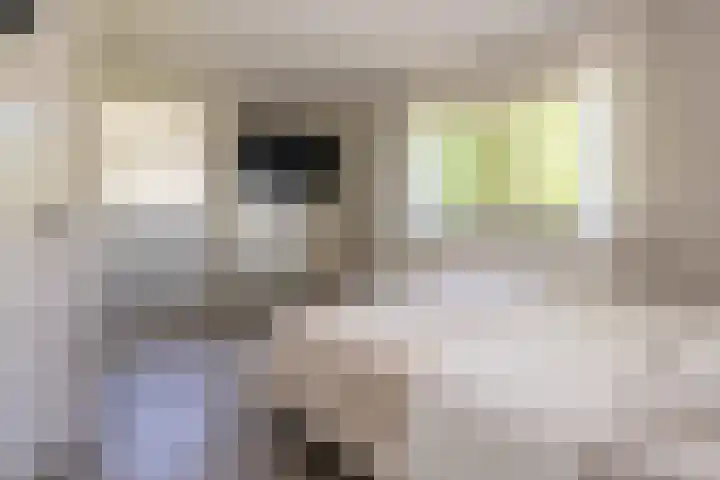 Enkweg 28 Nunspeet thumbnail 31