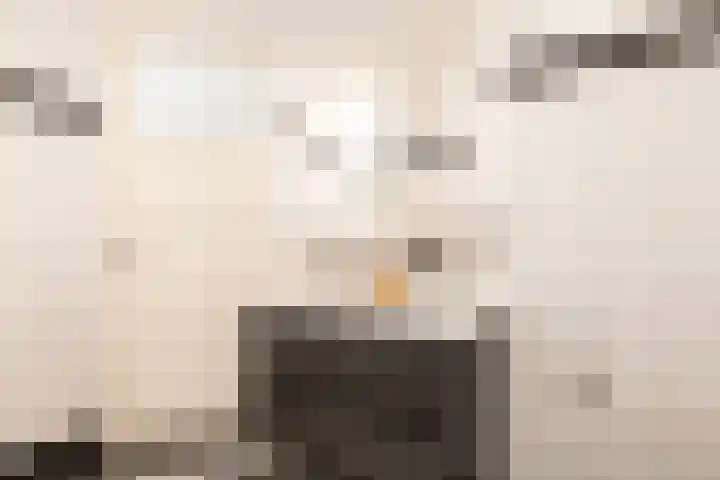 Enkweg 28 Nunspeet thumbnail 33