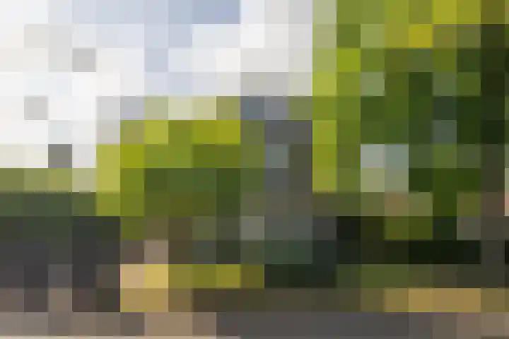 Enkweg 28 Nunspeet thumbnail 4