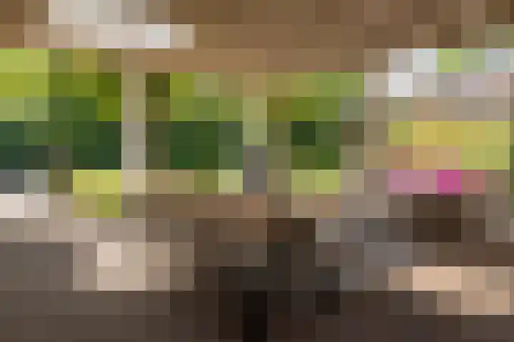 Enkweg 28 Nunspeet thumbnail 46