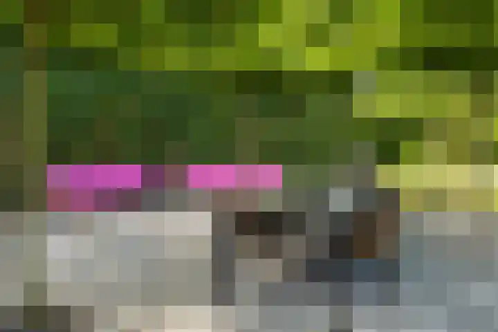 Enkweg 28 Nunspeet thumbnail 47
