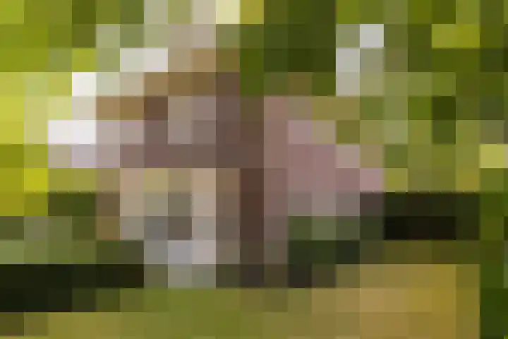 Enkweg 28 Nunspeet thumbnail 5