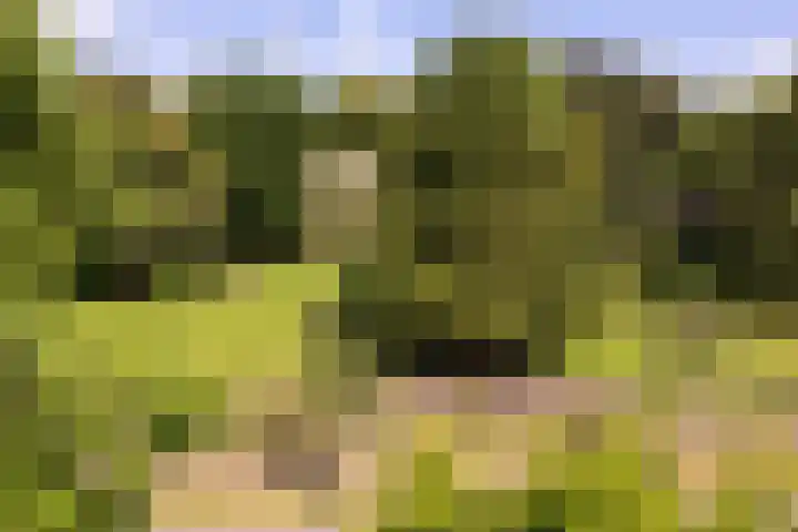 Enkweg 28 Nunspeet thumbnail 50