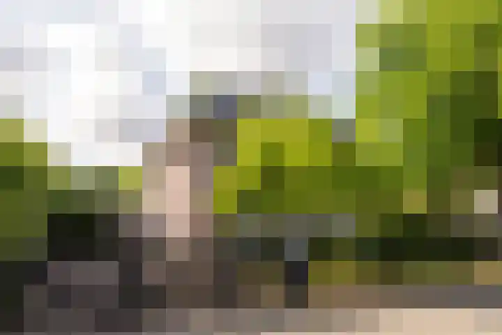 Enkweg 28 Nunspeet thumbnail 51