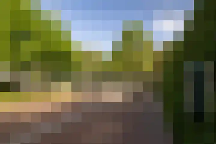 Enkweg 28 Nunspeet thumbnail 6