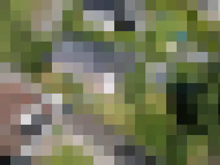 Enkweg 28 Nunspeet thumbnail 7