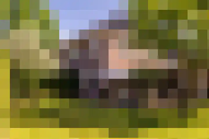 Enkweg 28 Nunspeet thumbnail 8