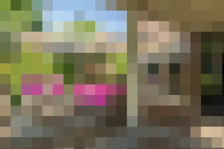 Enkweg 28 Nunspeet thumbnail 9