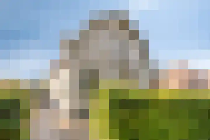 Enkweg 3 Voorst