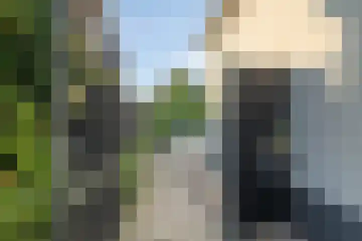 Enkweg 3 Voorst thumbnail 31