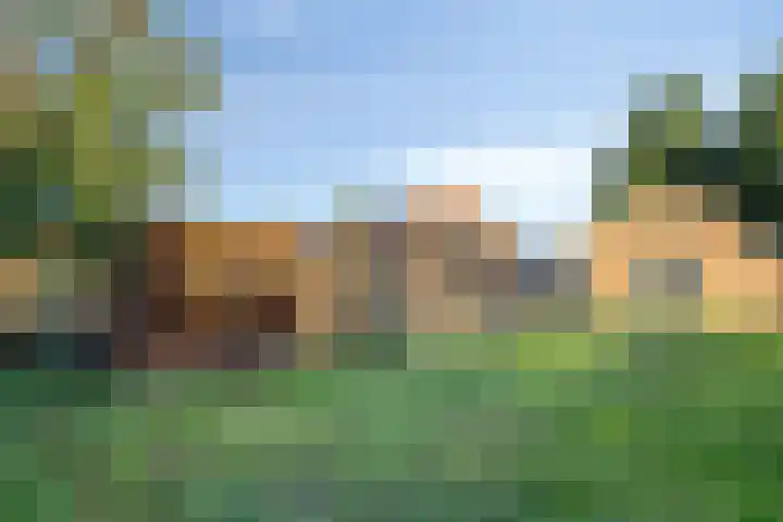 Enkweg 3 Voorst thumbnail 37