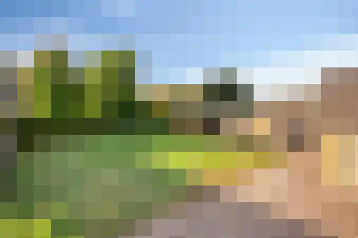 Enkweg 3 Voorst thumbnail 41