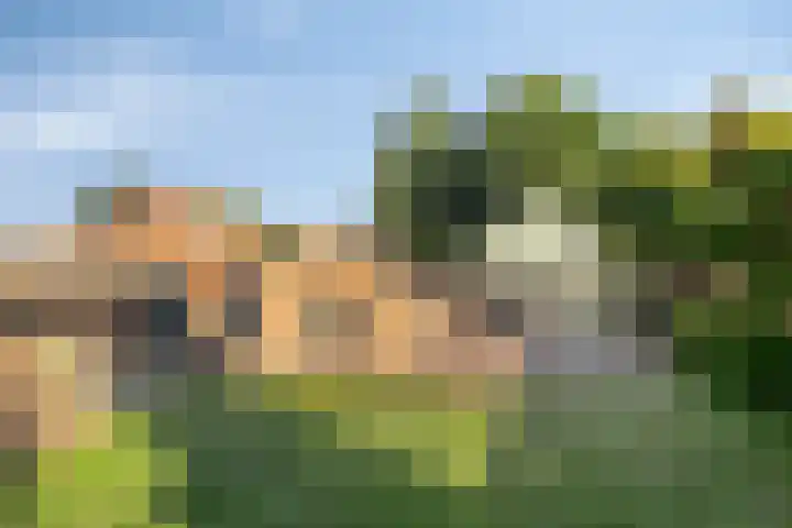 Enkweg 3 Voorst thumbnail 43