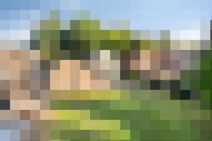 Enkweg 3 Voorst thumbnail 44