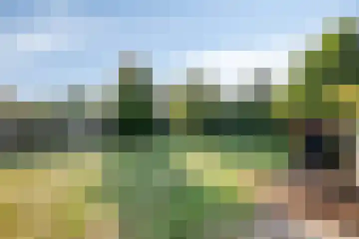 Enkweg 3 Voorst thumbnail 45
