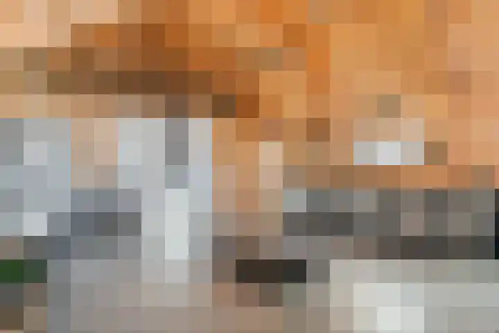Enkweg 3 Voorst thumbnail 47