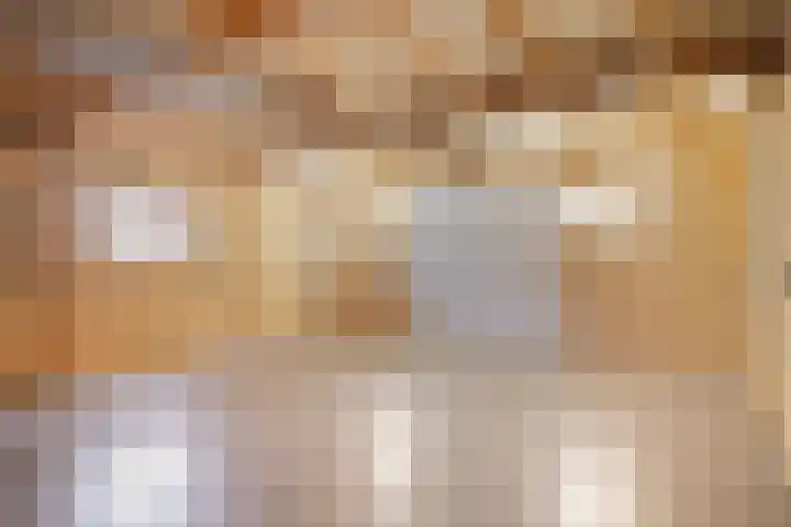 Enkweg 3 Voorst thumbnail 49